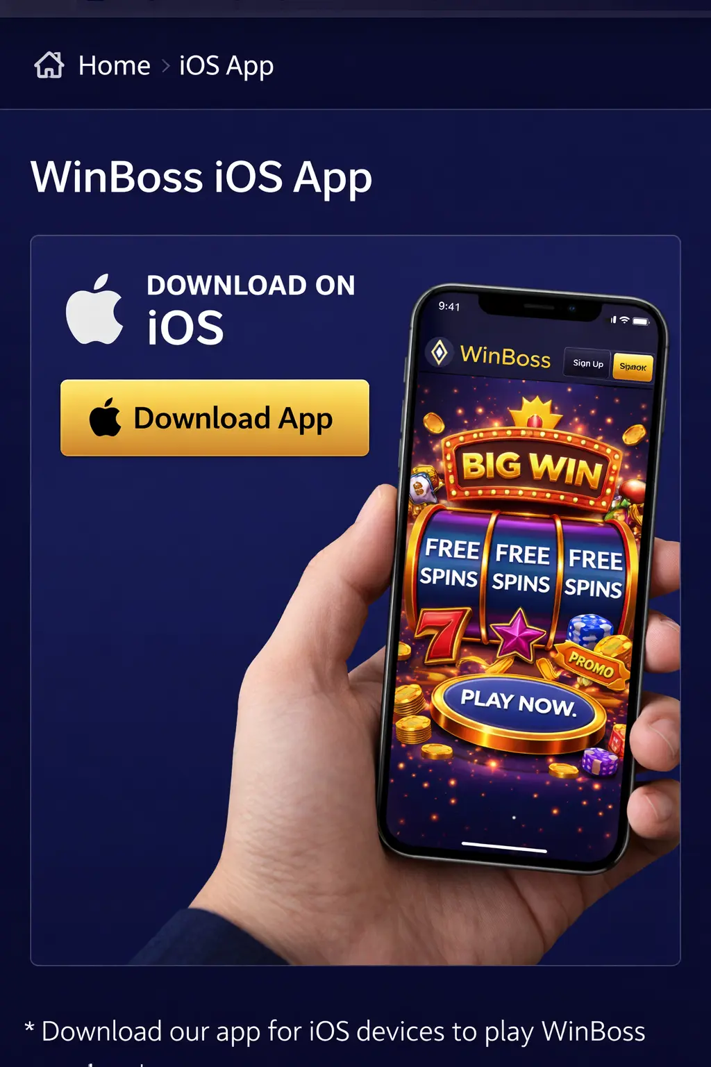 Мобильный доступ к платформе Винбосс на iPhone и iPad с особенностями использования на iOS